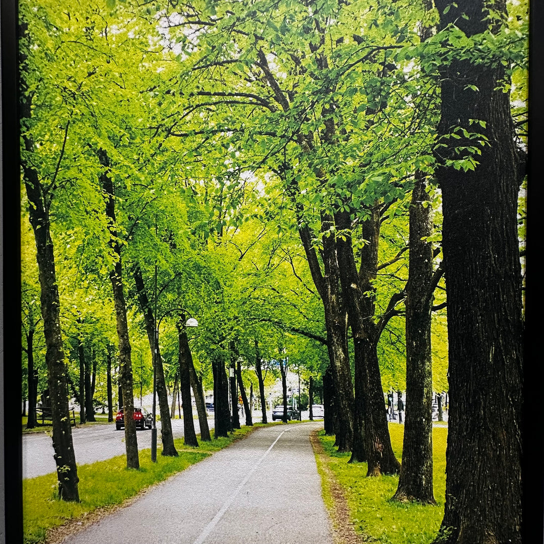 Stor fototavla med grönskande allémotiv
