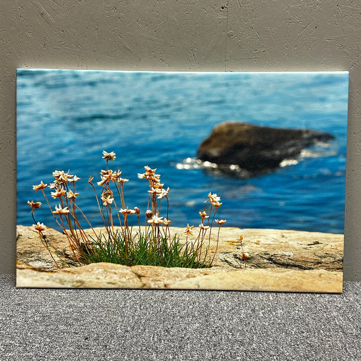 Fototavla kustmotiv strandblommor på duk