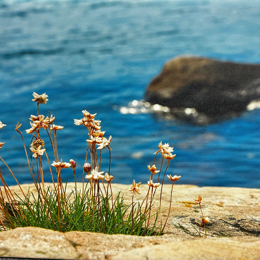 Fototavla kustmotiv strandblommor på duk