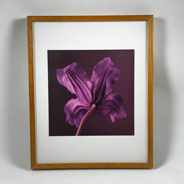 Elegant inramad blombild i träram från IKEA