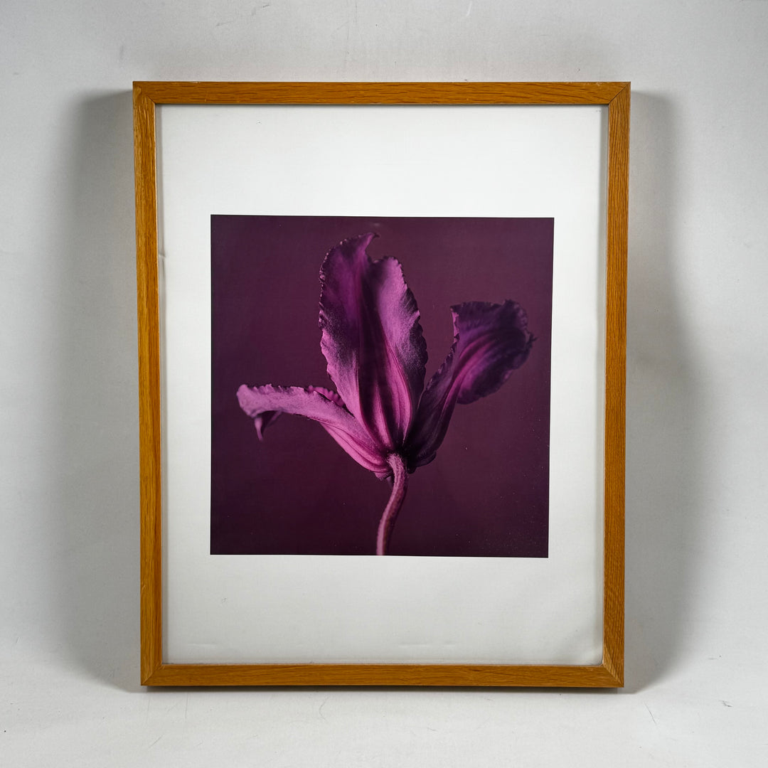 Inramad modern tavla med lila blomma