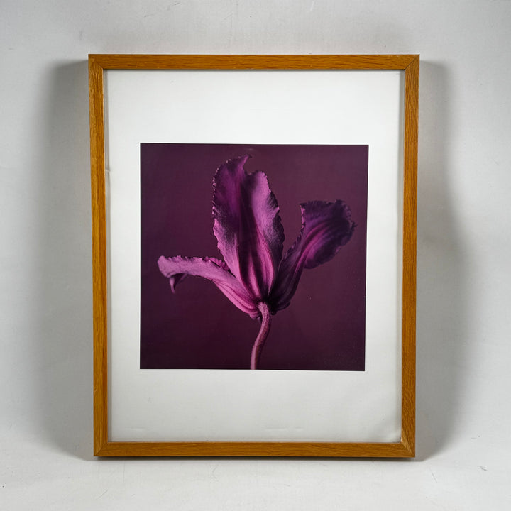 Inramad modern tavla med lila blomma