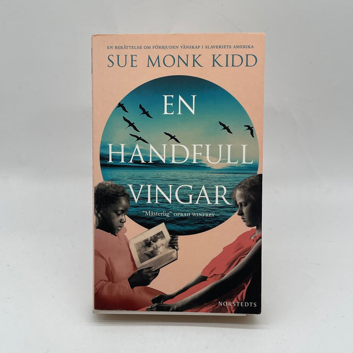En Handfull Vingar av Sue Monk Kidd