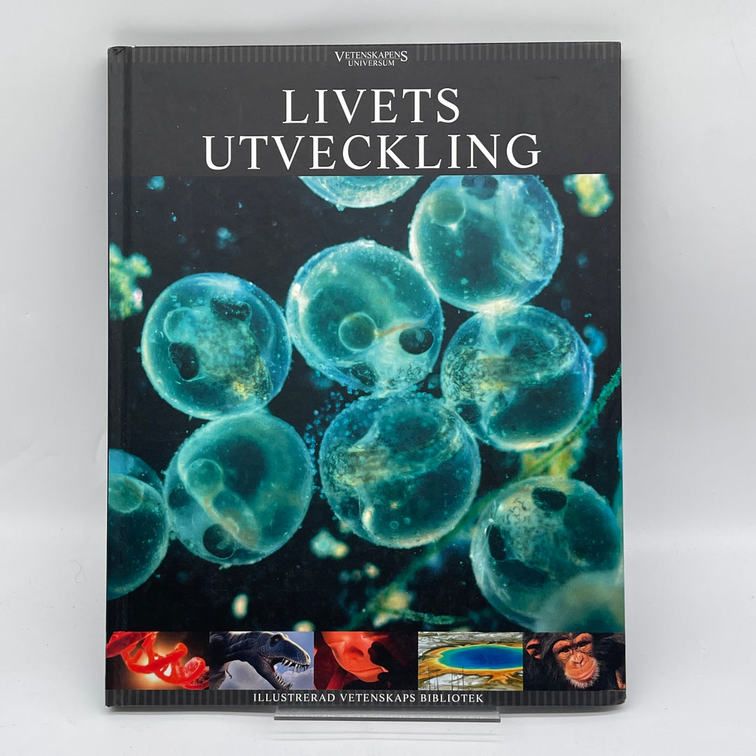 Illustrerad Vetenskap Bok Livets Utveckling Vintage