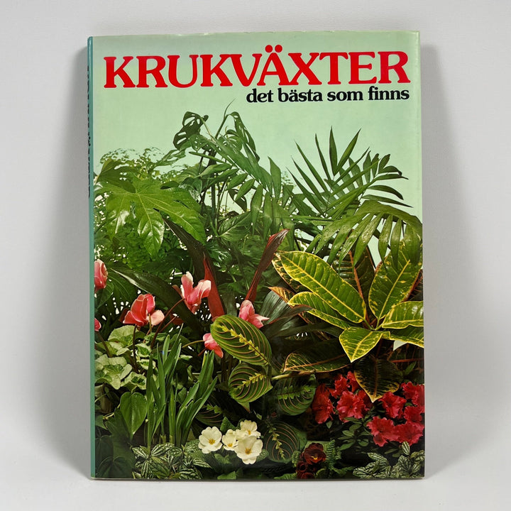 Krukväxter - Det bästa för ditt hem - Homy Secondhand Online