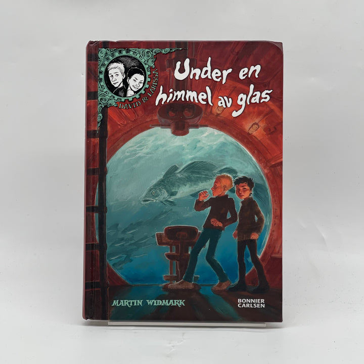 Under en himmel av glas bok Bonnier