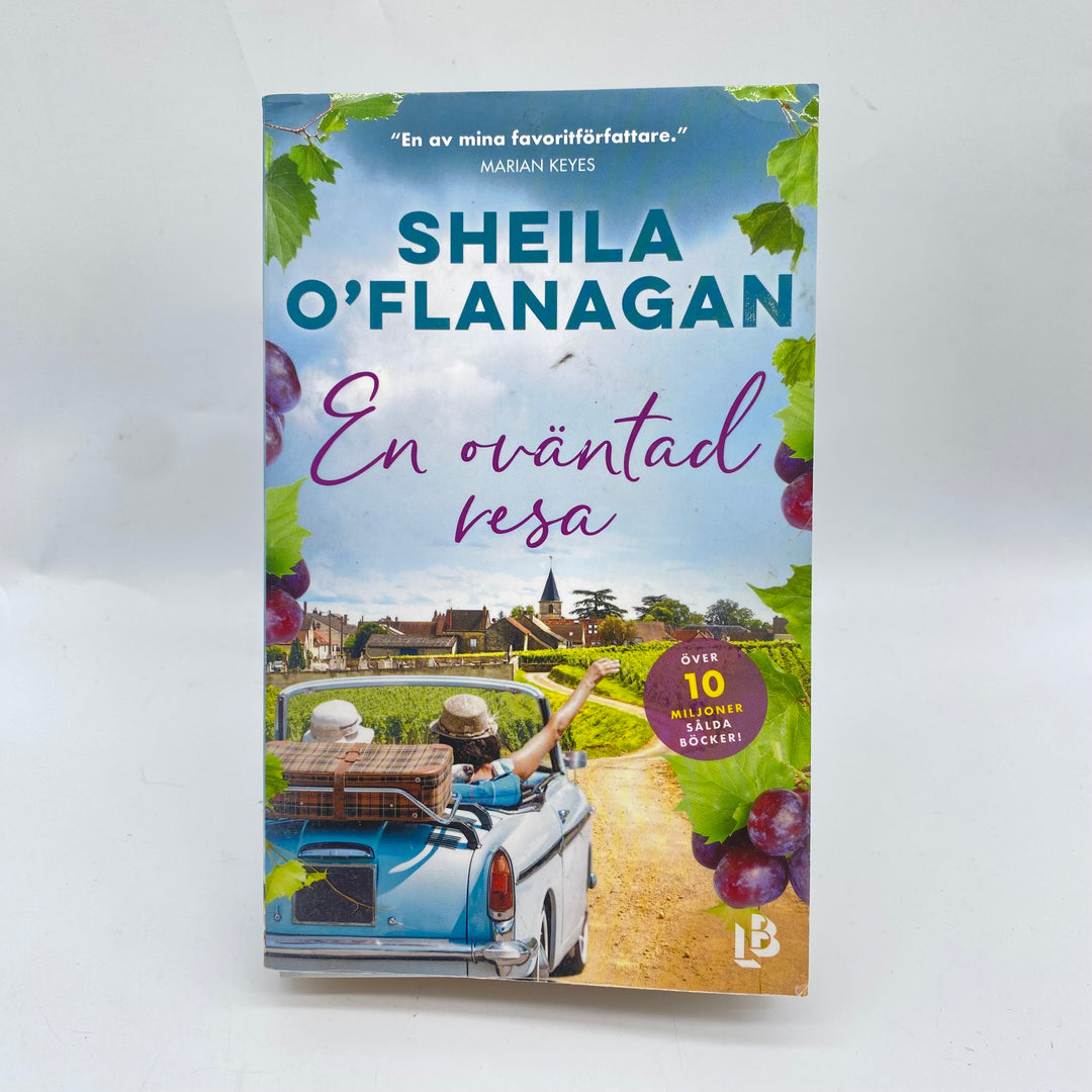 Sheila O'Flanagan Bok En Oväntad Resa