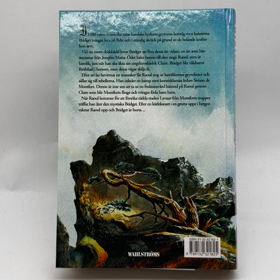 Historisk Roman Retro 1200-talets Frankrike