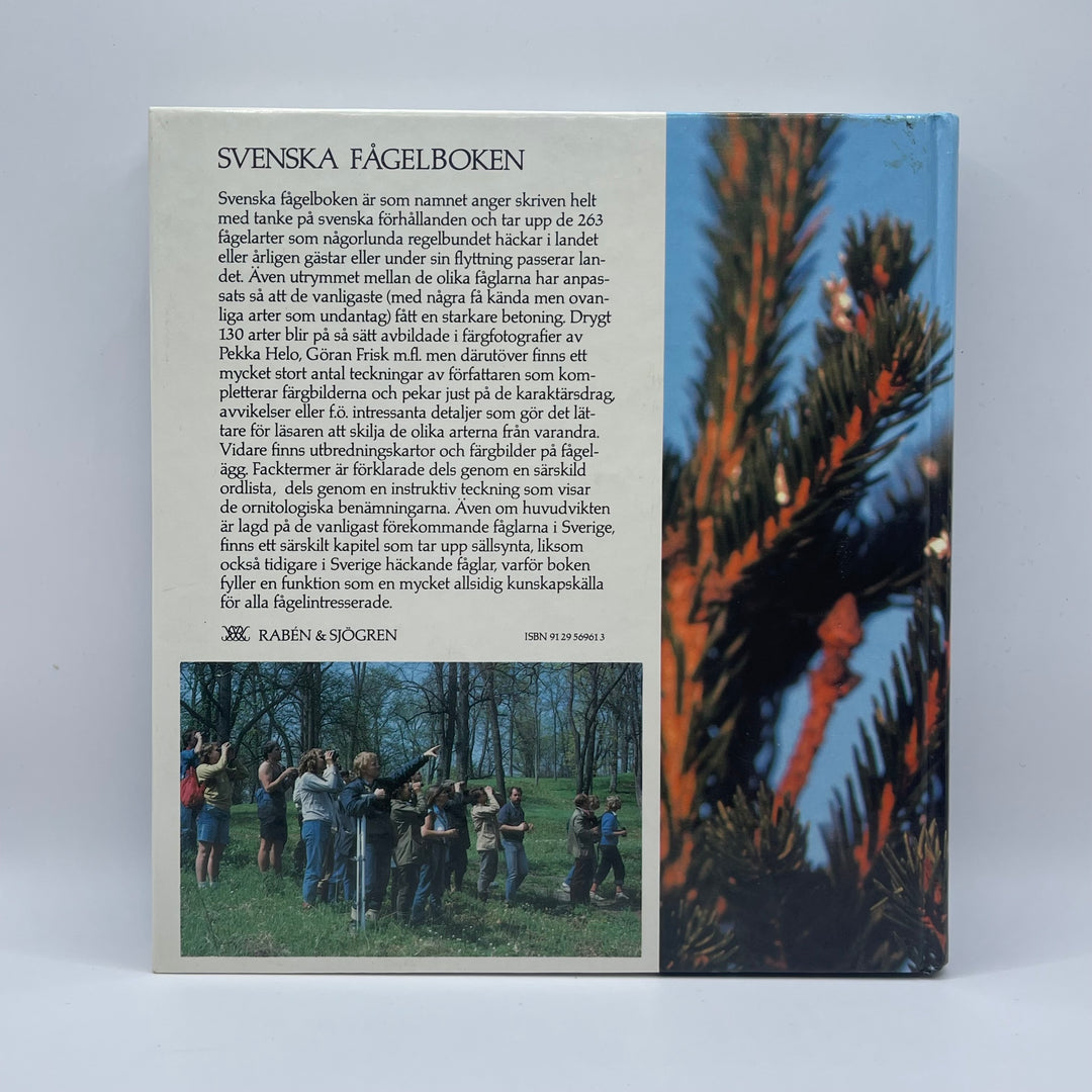 Svenska Fågelboken Retro Illustrerad Handbok