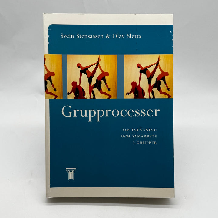 Grupprocesser fackbok om gruppdynamik begagnad
