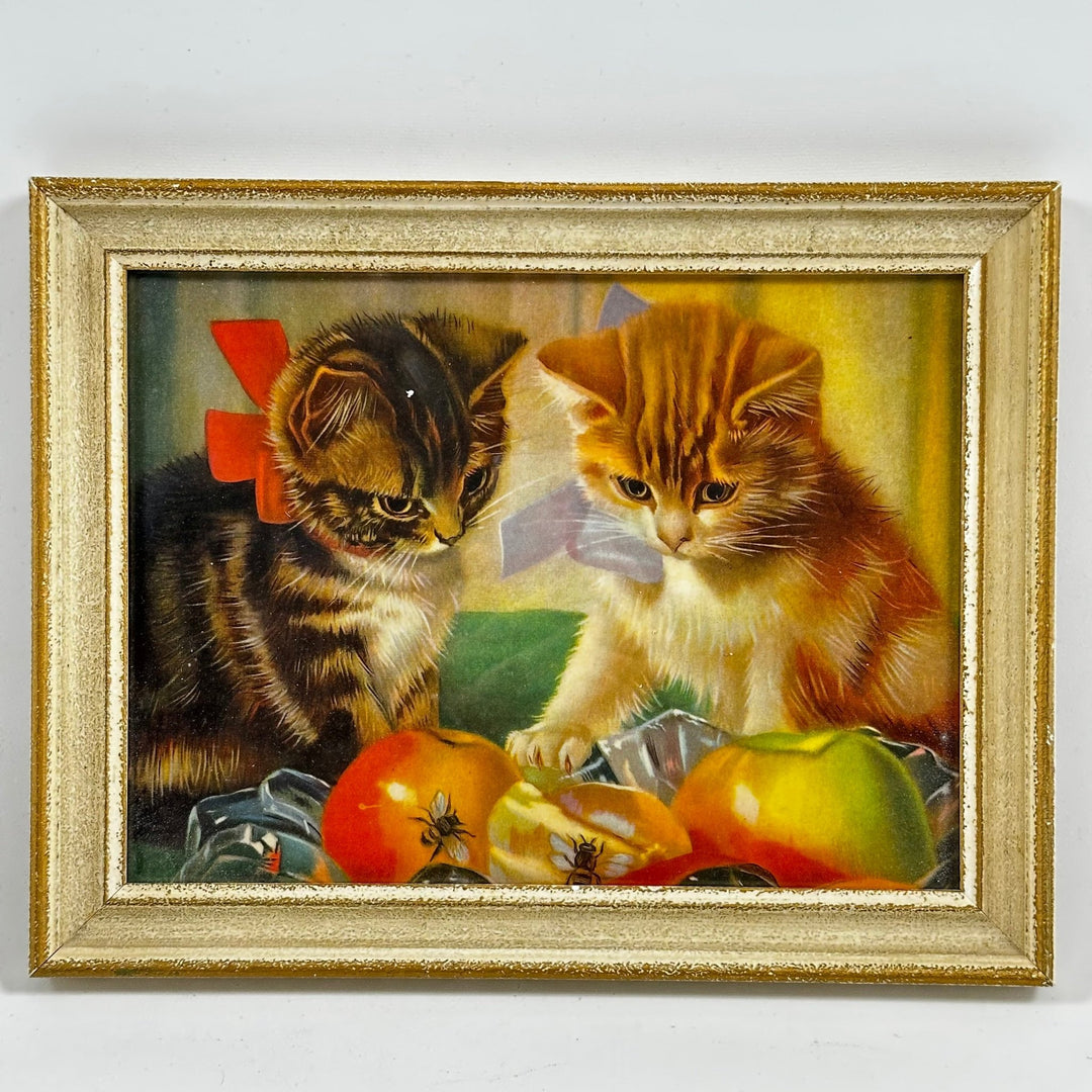 Retro Tavla med Kattungar och Frukter - Homy Secondhand Online