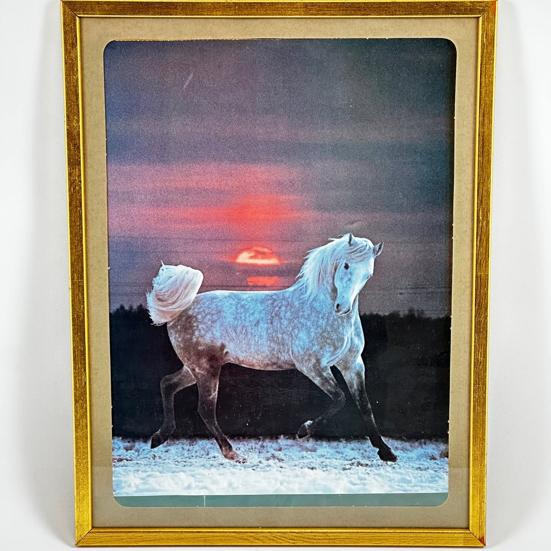 Vintagetavla med hästmotiv i guldram - Homy Secondhand Online