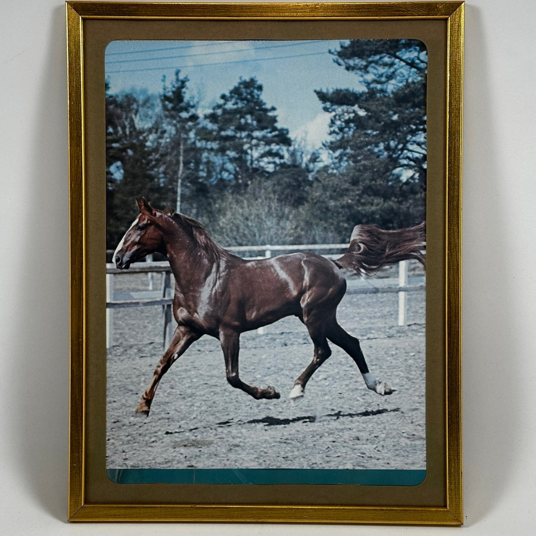 Guldfärgad ram med hästmotiv i rörelse - Homy Secondhand Online