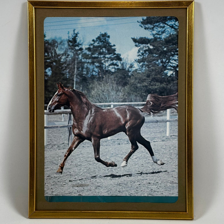 Guldfärgad ram med hästmotiv i rörelse - Homy Secondhand Online